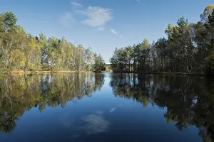 Water Reflections In Europe Prints: The source of the Neckar River