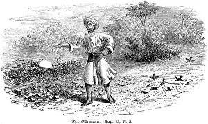 Christian Faith Images Prints: The sower, chapter 13, verse 3