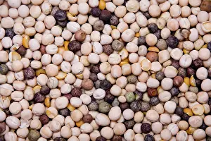 Agriculture Photos Prints: Soya beans