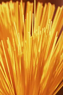 Spaghetti Meal Ideas Prints: Spaghetti