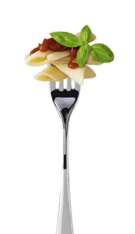 Isolated White Background Food Prints: spaghetti on fork isolated on white background