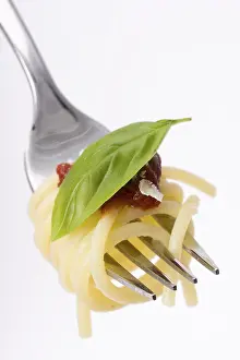 Spaghetti On Fork Prints: Spaghetti on a fork over white background