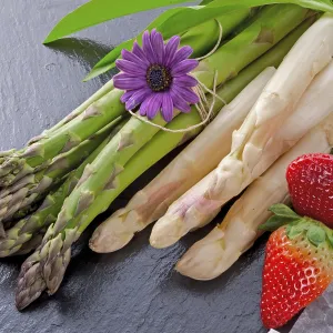 Green Asparagus Prints: Spargel