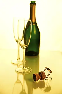 Sparkling Wine Bottle Prints: Sparkling