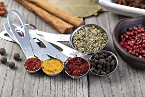 Spice Nutrition Facts Prints: spices set isolated on a table