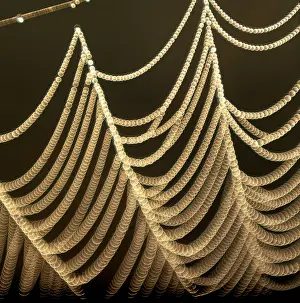 Close Up Dew Drops Prints: Spiderweb covered in dew, dewdrops