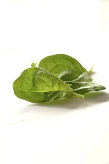 Raw Food Photography Prints: Spinach