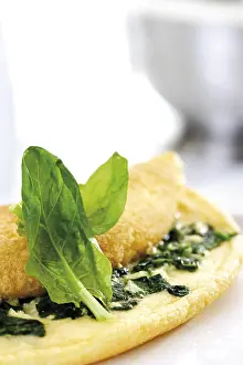 Spinach Omelet Prints: Spinach omelet