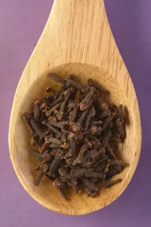 Wooden Spoon Prints: Spoon with cloves