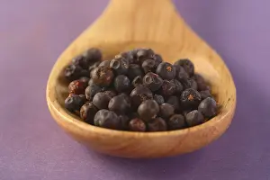 Studio Food Photographies Prints: Spoon with juniper berries