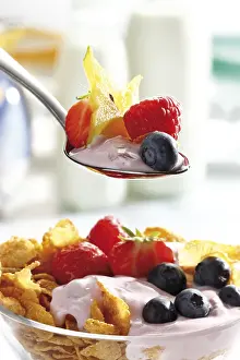Fresh Fruit And Yogurt Prints: Spoon with yogurt and fruit