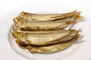 Prints of Sprats Sprat Prints: Sprats Print by ImageBROKER