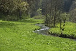 Central Europe Waterways Prints: Spring in the AufseB valley