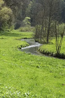 Bavaria Springtime Prints: Spring in the AufseB valley