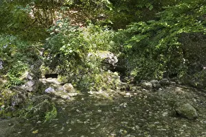 Central Europe Waterfront Prints: Spring basin of the Echaz, Echazquelle