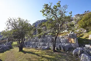 Crete Landscape Prints: Spring in Crete, Plateau, Lassithi