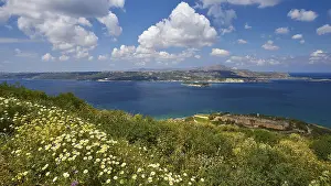 Historic Castle Fortress Prints: Spring in Crete, spring meadow