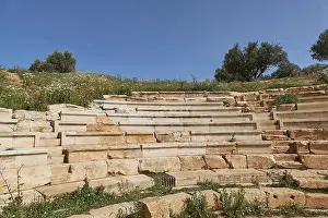Crete Archaeological Site Prints: Spring in Crete, spring meadows