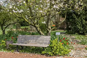 Deserted Garden Bench Prints: Spring in the District Teaching Garden
