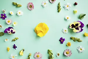 Minimalistic Design Prints: Spring flowers circle round frame