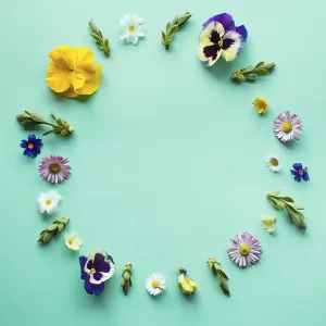 Minimalist Spring Flowers Prints: Spring flowers circle round frame