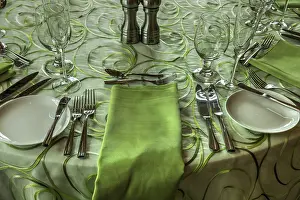 Uninhabited Meal Scene Prints: Spring green colored table place setting with a fork