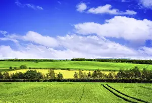 Spring Green Landscape Print