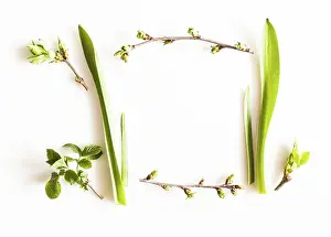 Deserted Farmland Scene Prints: Spring greenery plants over white background