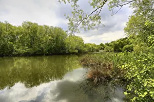British Countryside Prints: Spring lake