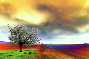Spring Landscape Photography Prints: Spring landscape