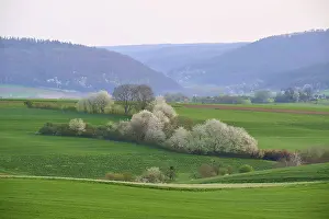 Central European Springtime Prints: Spring landscape with green fields