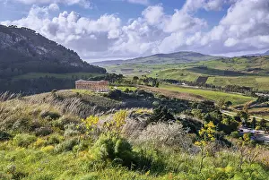 Greek Temple In Italy Prints: Spring landscape with the temple of Segesta