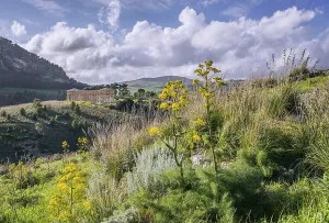 Segesta Temple Prints: Spring landscape with the temple of Segesta