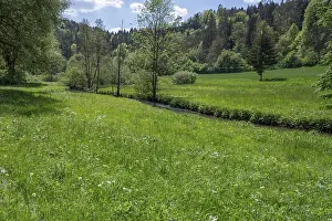 Bavarian Countryside Scenes Prints: Spring meadow with river course in AuseBtal