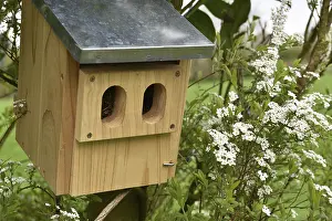 Ecofriendly Nesting Aid Prints: Spring nesting box, Germany