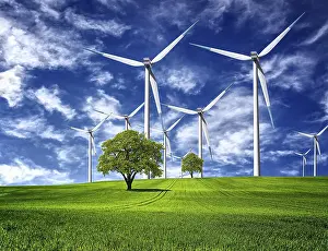 Spring Power Print by imageBROKER