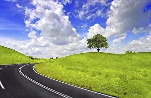 Deserted Highway Prints: Spring road