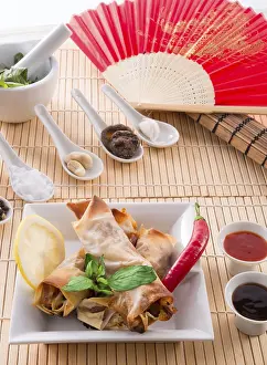 Thai Food Prints: Spring roll