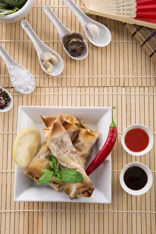 Crustacean Appetizer Prints: Spring roll