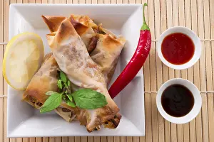 Crustacean Appetizer Prints: Spring roll