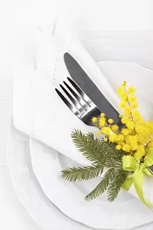 Gastronomy Celebration Prints: Spring table setting with mimosa easter holidays dinner