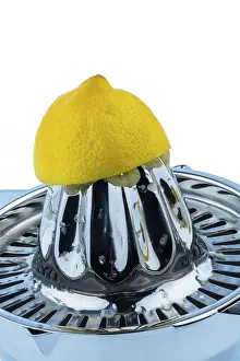 Citrus Fruit Still Life Prints: A squeezed lemon on a white background