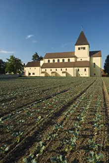 Lake Constance Scenery Prints: St. George and vegetable fields