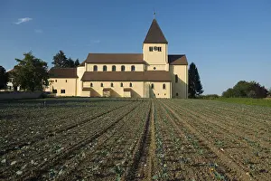 Cultivated Area Central Europe Prints: St. George and vegetable fields