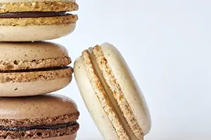 Images Dated 14th October 2024: Brown French Macaron Print