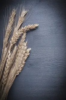 Agricultural Crop Patterns Prints: Stack of ears of wheat on vintage board