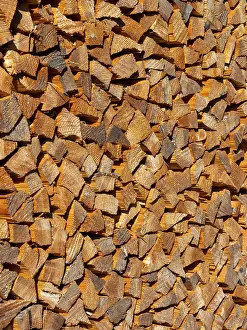German Firewood Prints: Stack of firewood, chopped and stacked in logs