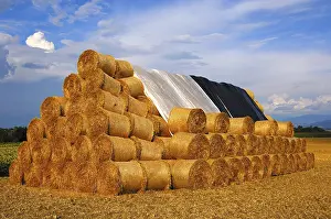 Farmland Cultivation Prints: Stack of round straw bales