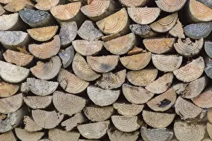 Wood Stacked High Prints: A stack of split wood