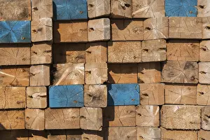 Deserted Canadian Landscape Prints: Stacked cut rectangular and square pieces of lumber